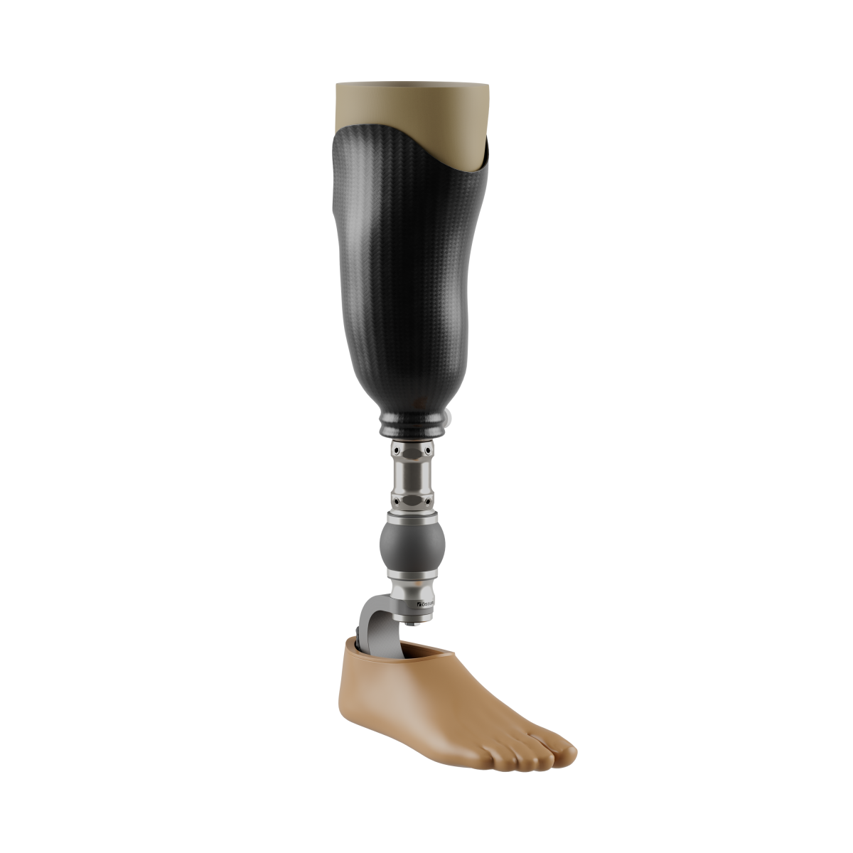 Lower Limb Prosthetics (Above-Knee, Below-Knee & Partial Foot)